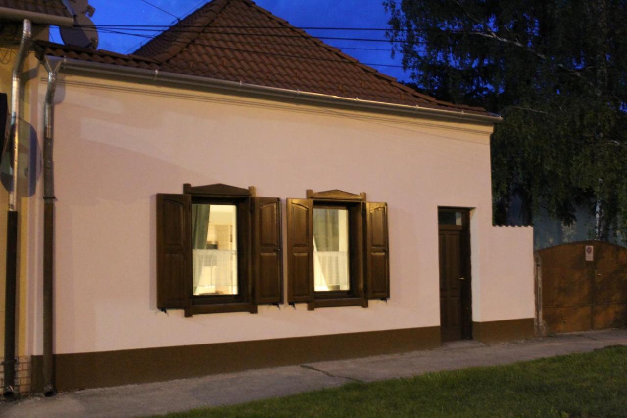 Czermann Holiday Inn Oroszlány エクステリア 写真
